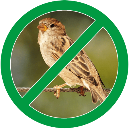 Image of a bird in green circle slash icon; Northern Pest humanely removes birds from your property.