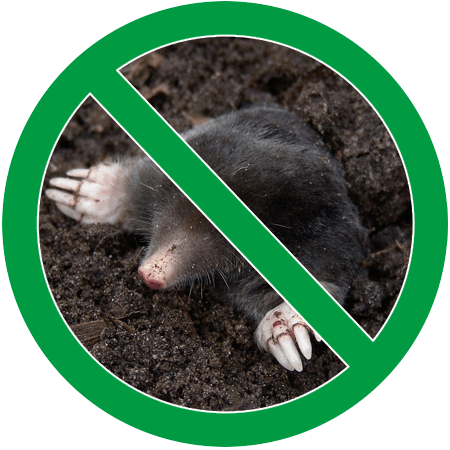 Image of a mole in green circle slash icon; Northern pest removes and controls moles.