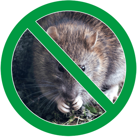 Image of a rat in green circle slash icon; Northern Pest safely and effectively removes mice and rats.