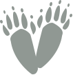 Icon of animal tracks, representing that Northern Pest services are safe and humane.