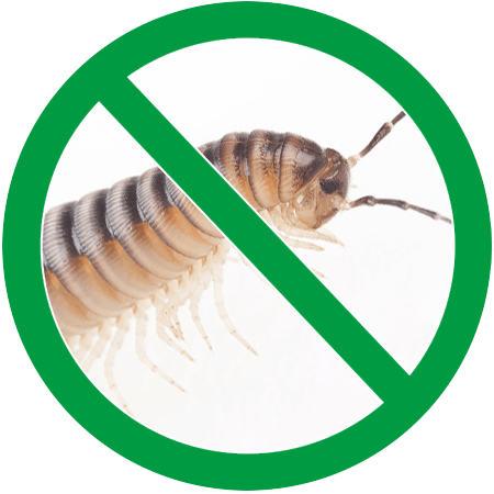 Image of a centipede in green circle slash icon; Northern Pest treats and controls centipedes, millipedes, and sowbugs.