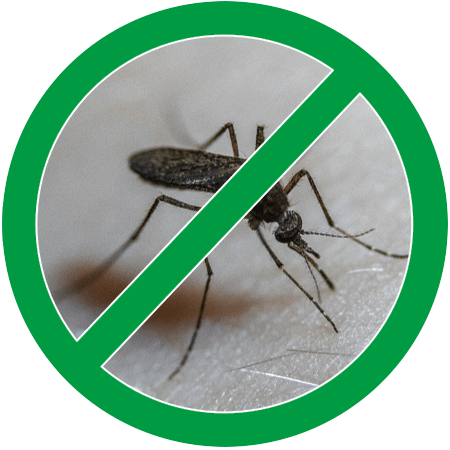 Image of a mosquito in green circle slash icon; Northern Pest effectively treats mosquitoes and ticks.