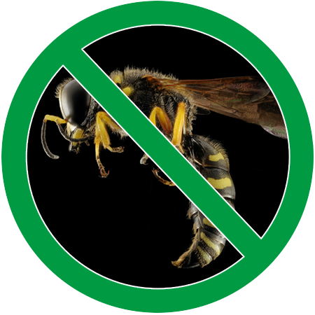 Image of a wasp in a green circle slash icon; Northern Pest effectively treats your home for hornets, wasps and yellowjackets.