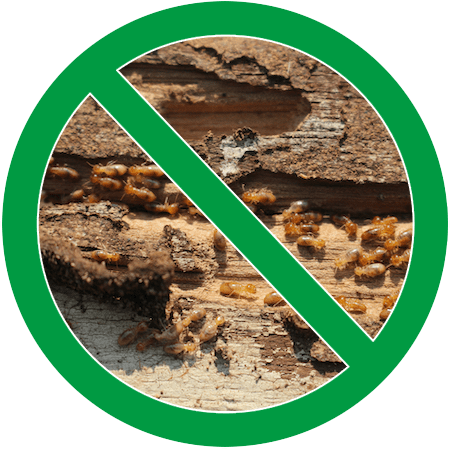 Image of a termite colony in green circle slash icon; Northern Pest effectively exterminates termites.