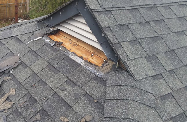 Image of a roof with broken shingles, indicating that Northern Pest provides wildlife restoration services.