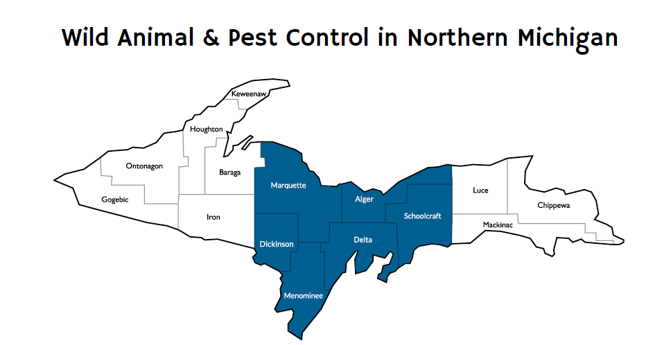 Our Spring Pest Applications Will Be Starting Soon!
