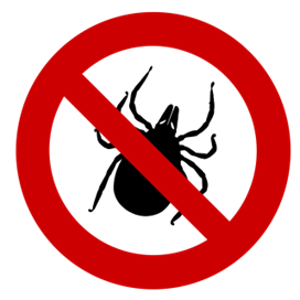 Tick Surge in Michigan: Protect Your Property with Professional Mosquito & Tick Treatments